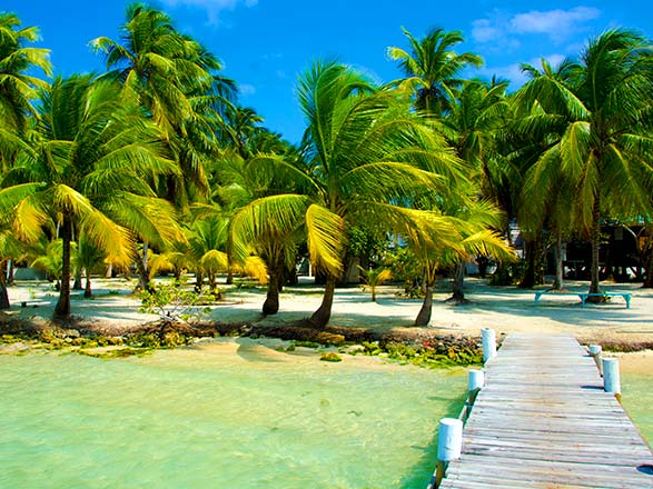 Harvest Caye (Belize)